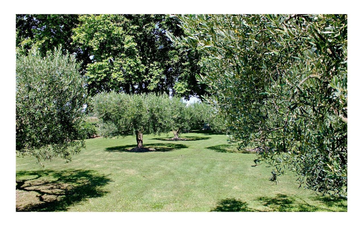 Le Domaine De Laforest Fontvieille Ngoại thất bức ảnh