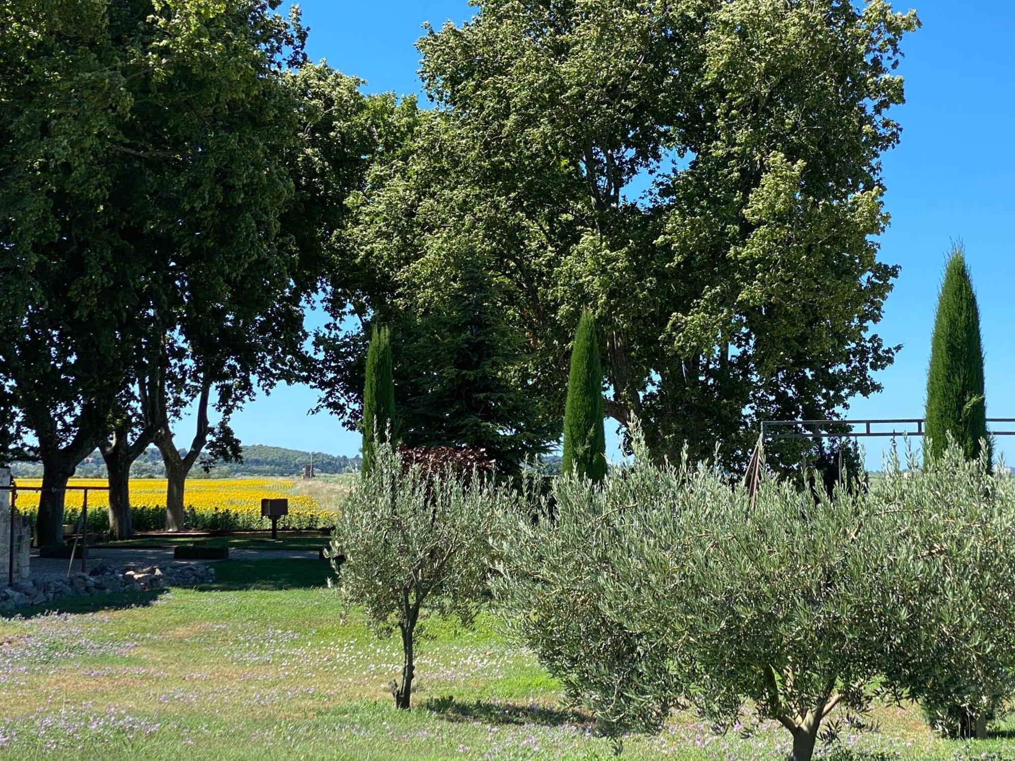 Le Domaine De Laforest Fontvieille Ngoại thất bức ảnh