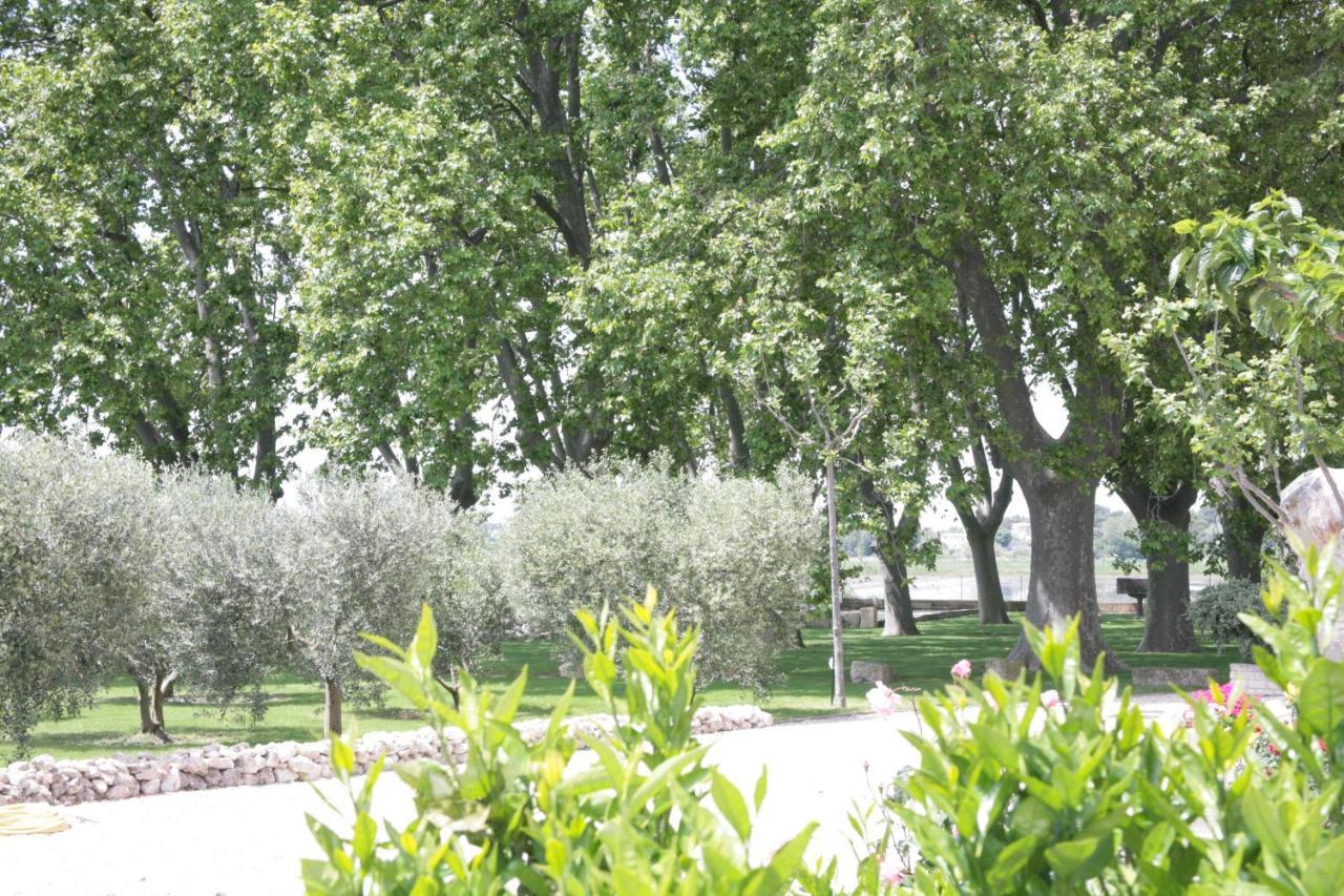 Le Domaine De Laforest Fontvieille Ngoại thất bức ảnh