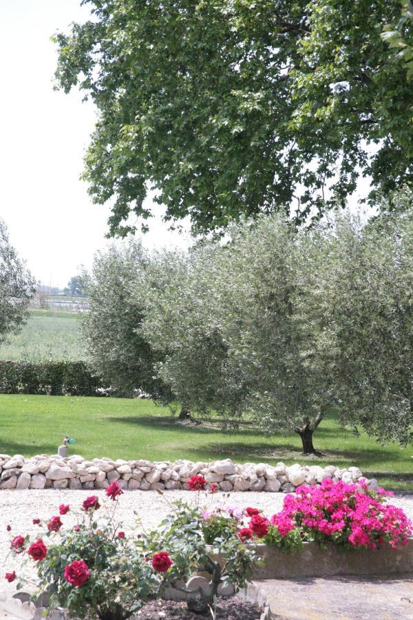 Le Domaine De Laforest Fontvieille Ngoại thất bức ảnh